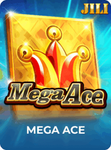 hgnice game play